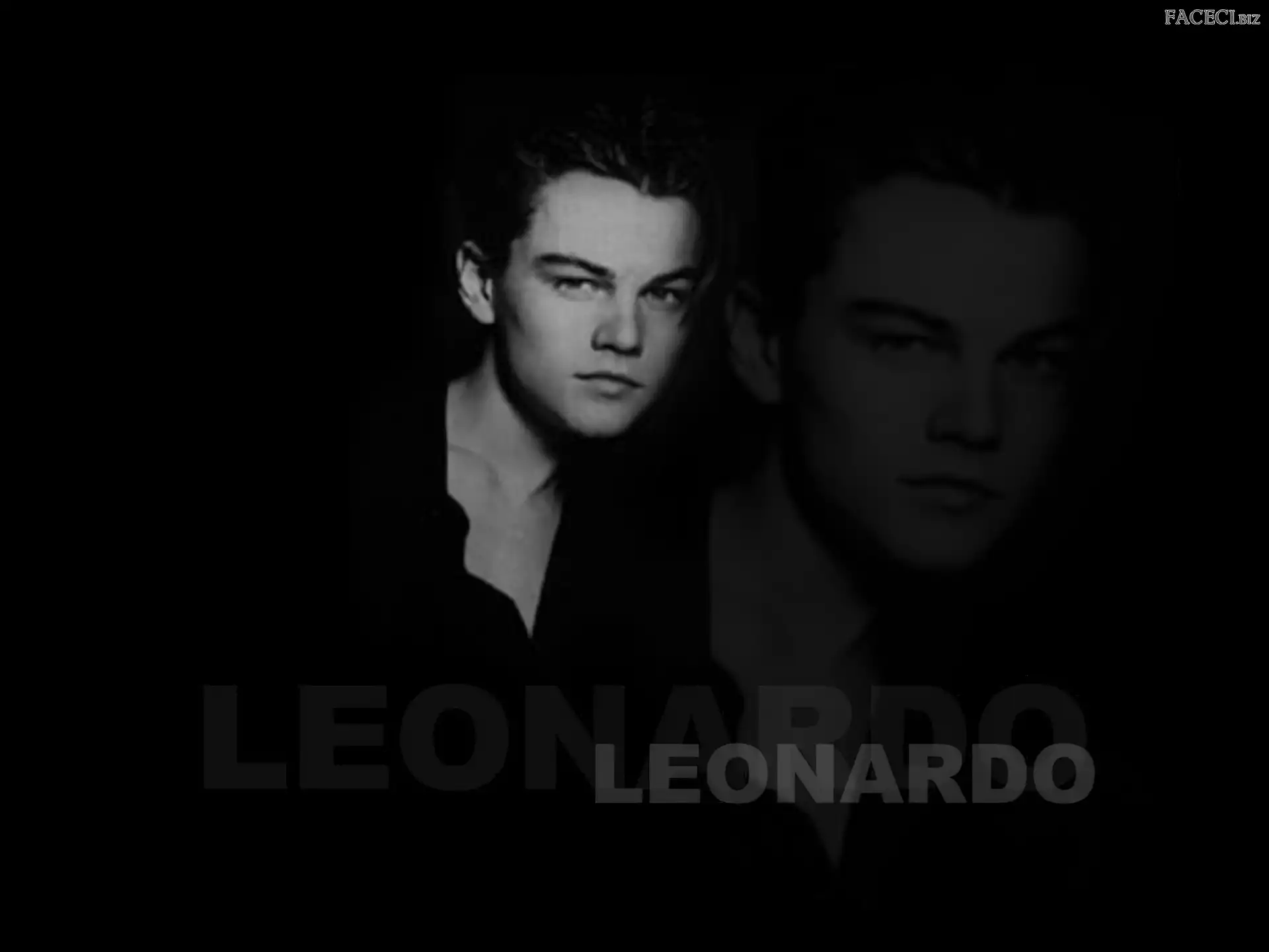 Leonardo DiCaprio, odbicie